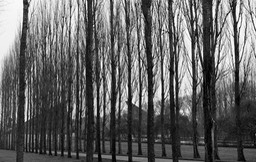 38-Berlin, mémorial soviétique (parc de Treptow)