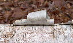 _DSC0171_DxO