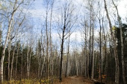 _DSC9976_DxO