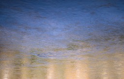_DSC9985_DxO