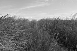 Ærø (6)N&B