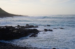 Anjos (1)