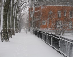 Québec (7) 12-06